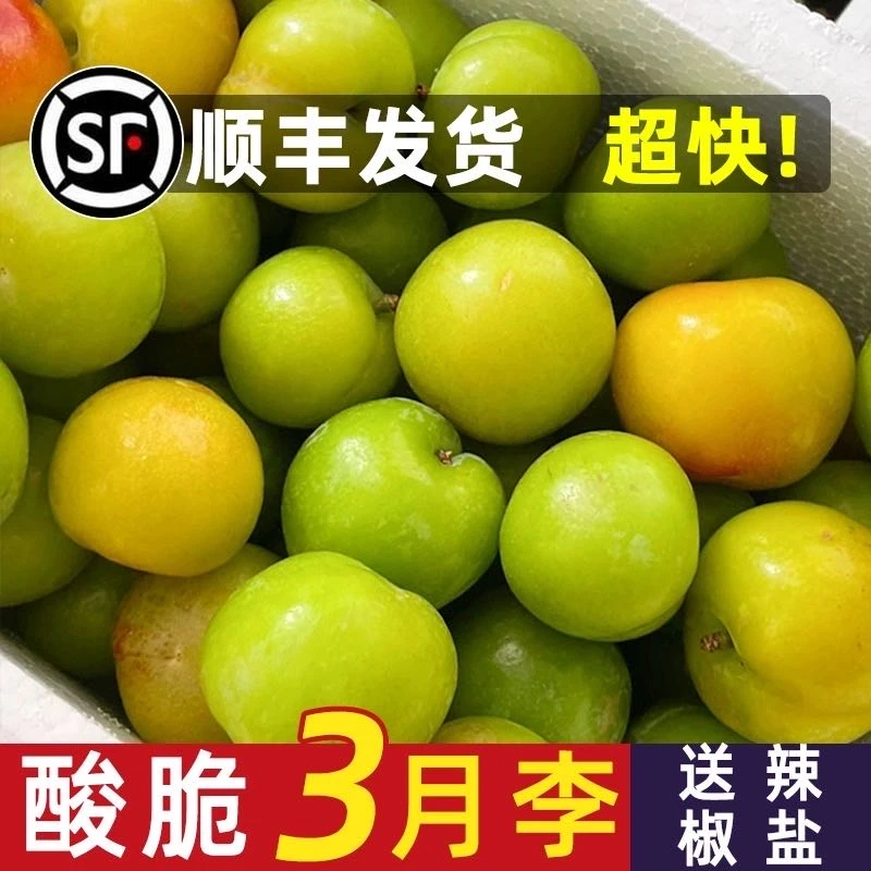 （顺丰）李子新鲜三月李子水果青李子信宜三华李应季酸脆李子