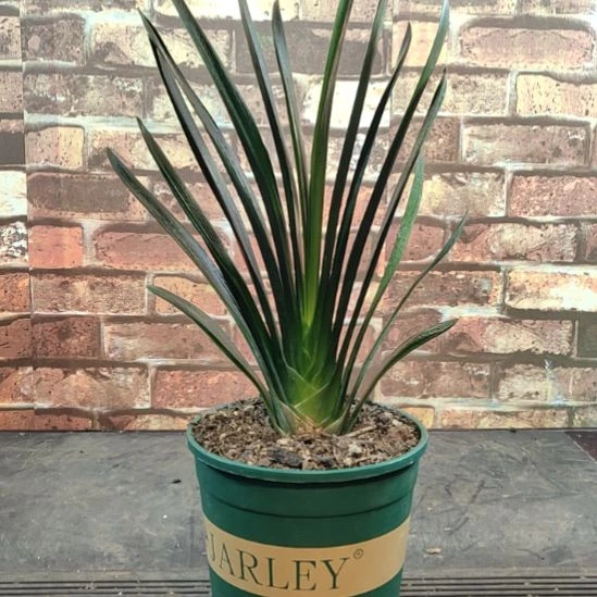 完全开放111111111