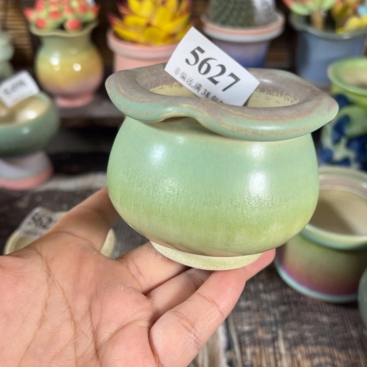 口6 手工花盆满30包邮