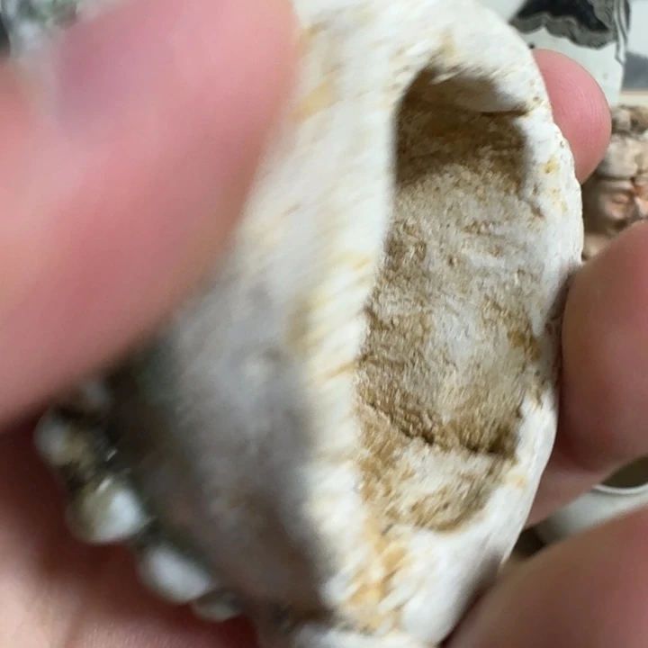 P***嘻瓷片瓷瓷瓷瓷瓷瓷瓷瓷瓷瓷瓷瓷瓷瓷