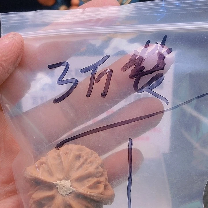 【闪购商品】文玩核桃把件刚*好宫灯
