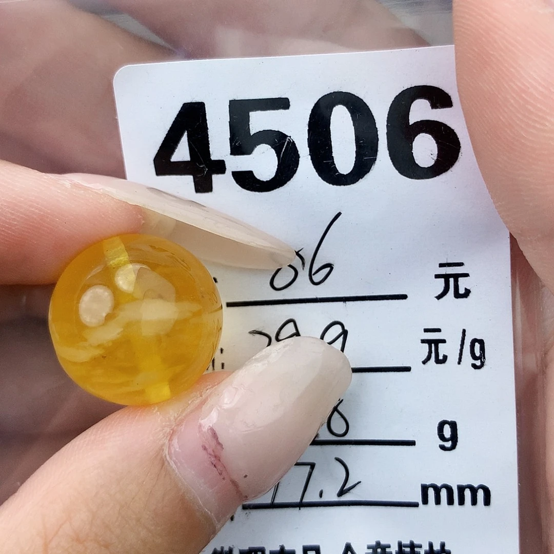 琥珀未镶嵌珠宝奇石17.2植物