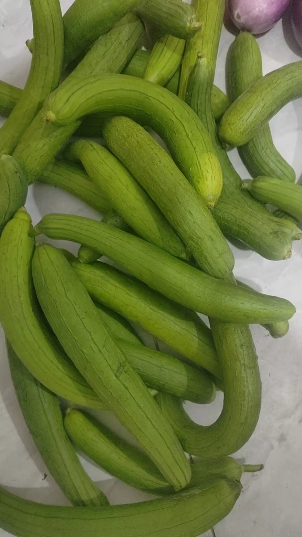 农家新鲜丝瓜（时令生鲜）