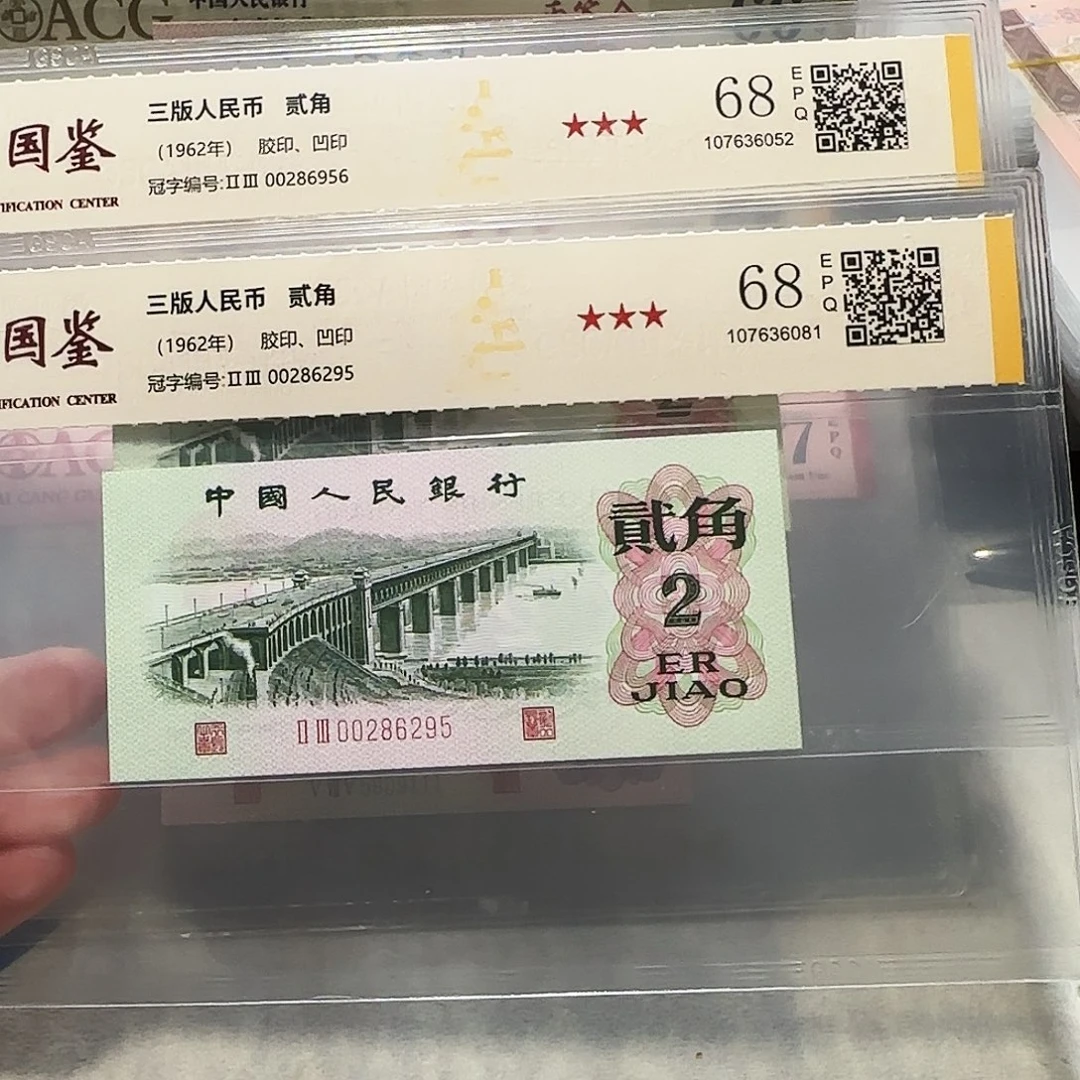 00286956、6295。。。。。。。。。。。。。