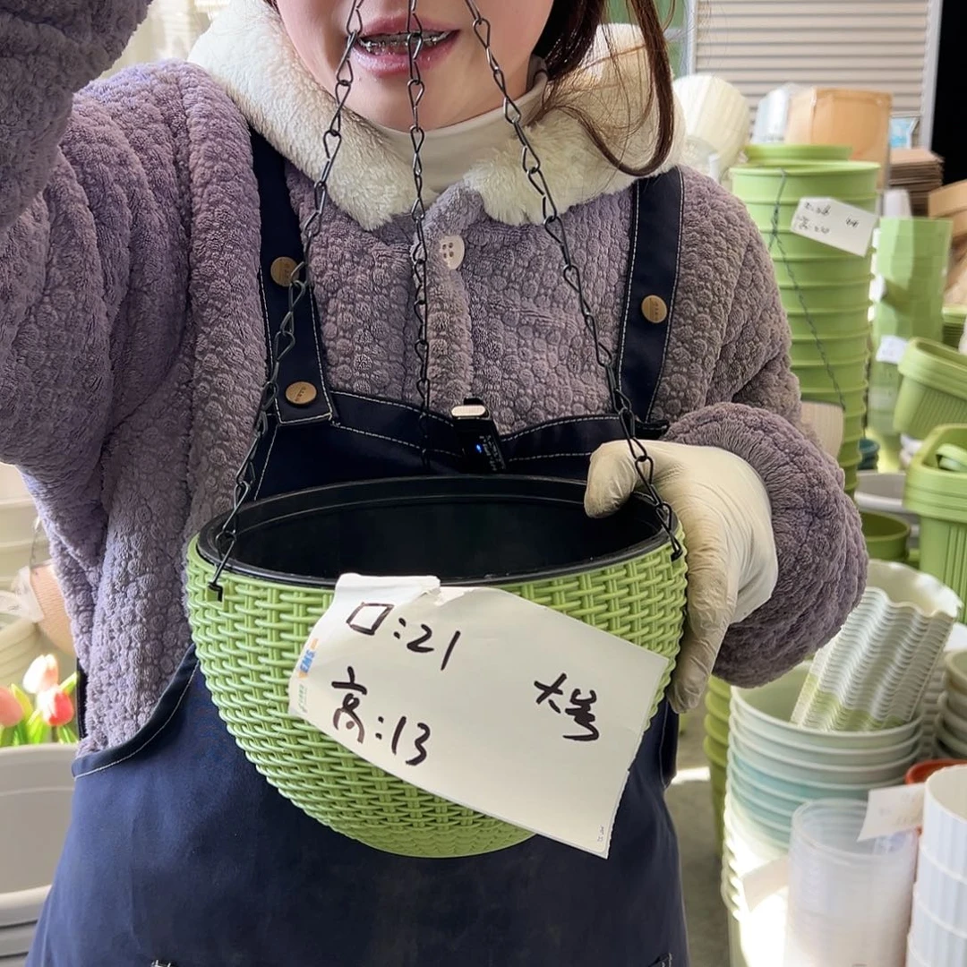 瑕疵吊兰大号果绿6套