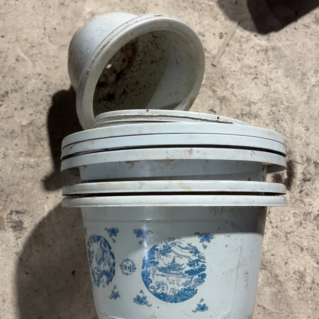 花开富贵白盆24口径发5➕5