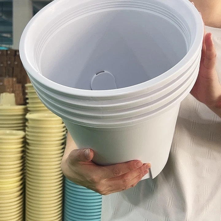 特价圆控口27.5高28白色无托4只