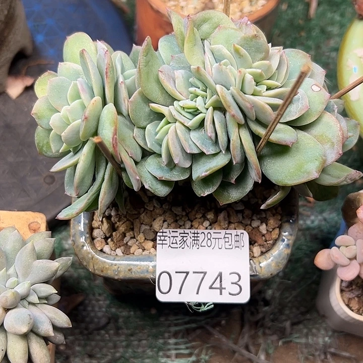 幸运的是我还没遇到过这样