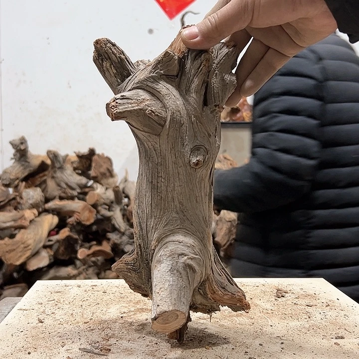 柏木柏*我们的生活也是