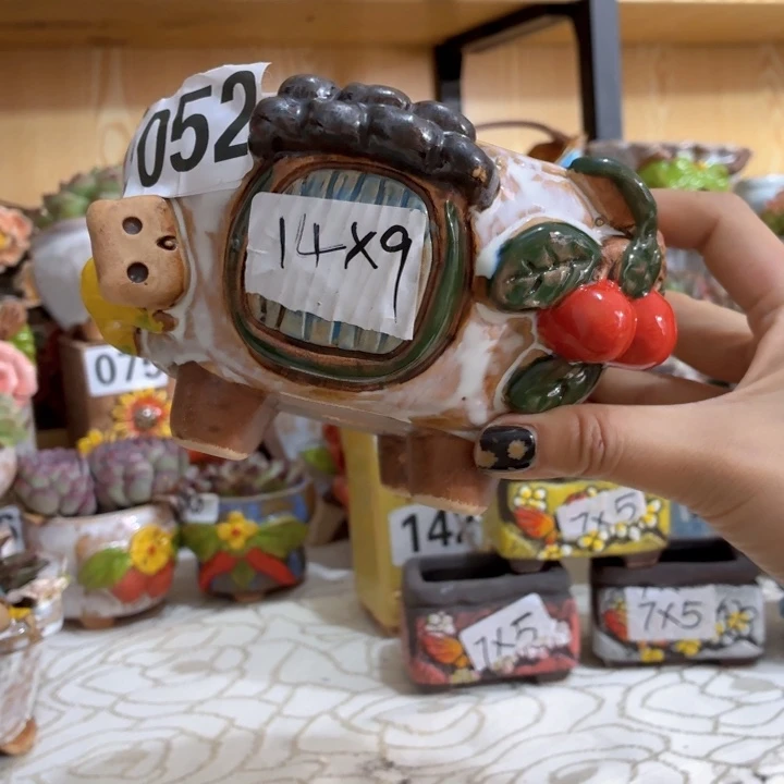 多肉花盆满15包邮