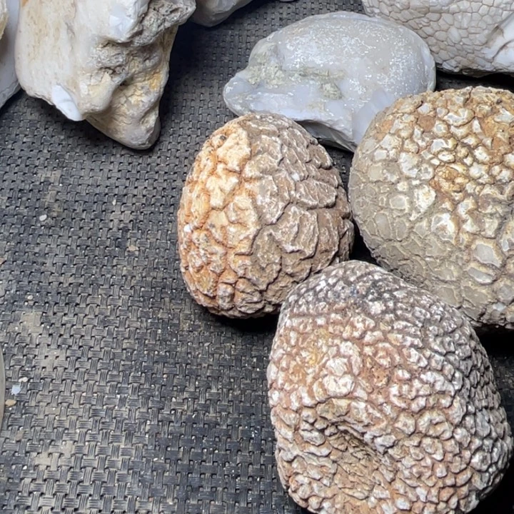 王***楼有机玻璃奇石怪石摆件