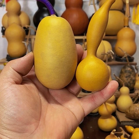 精品厚皮小八宝葫芦