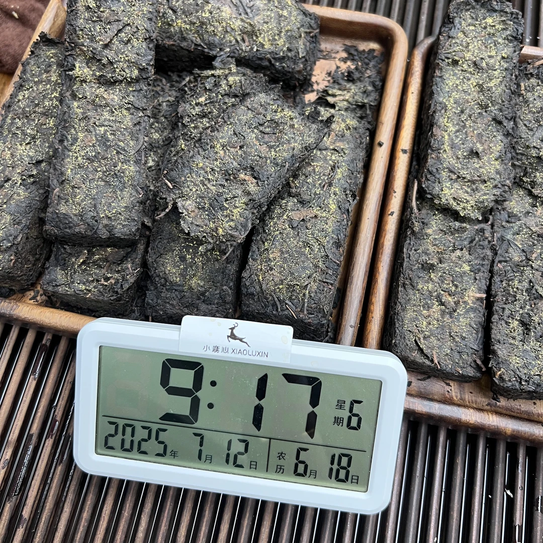 安化黑茶 茯砖 小鹿收茶 7月12