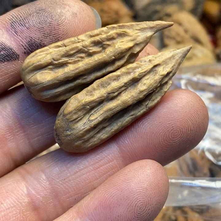 文玩核桃吊坠娜姐167