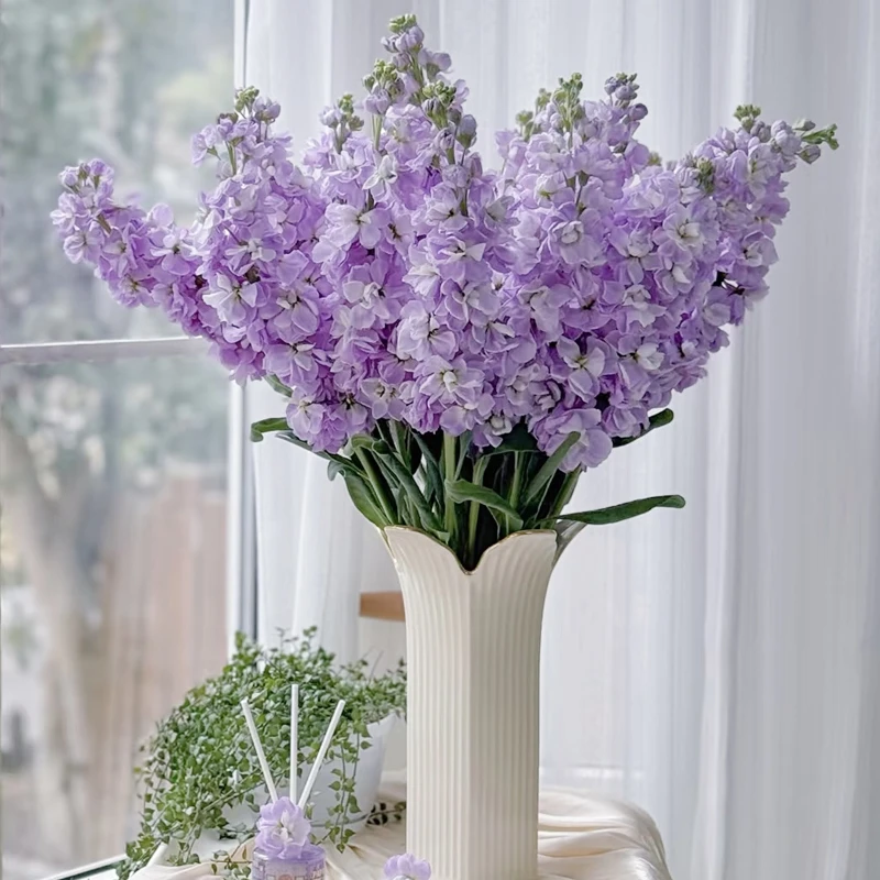 【鲜花紫罗兰】紫色三色混搭配云南基地直发鲜花家用插花