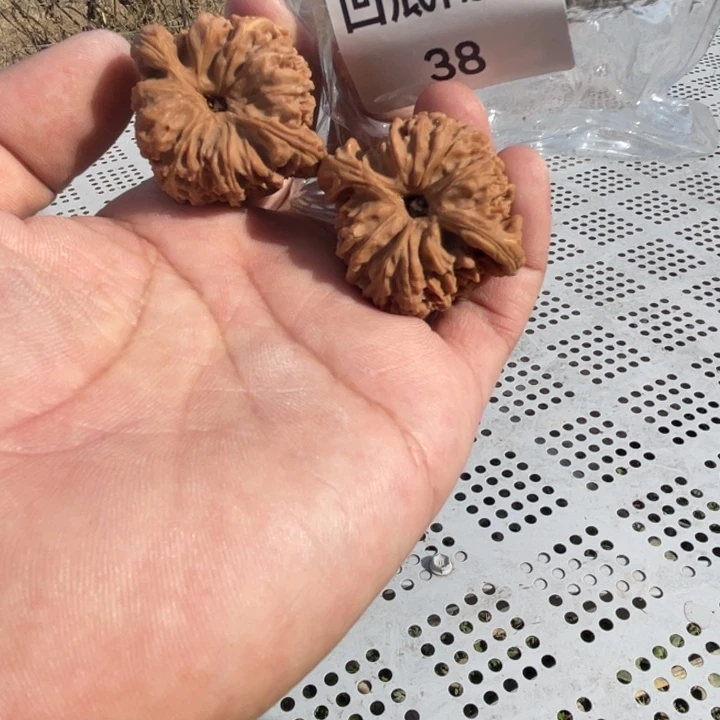 手串/手链核桃凹底南疆38