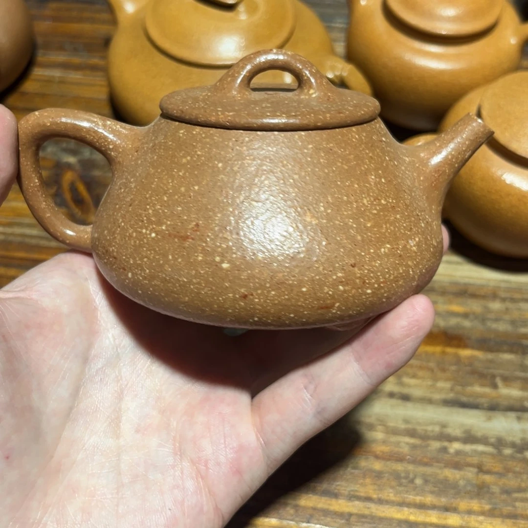 紫砂紫砂紫砂这种