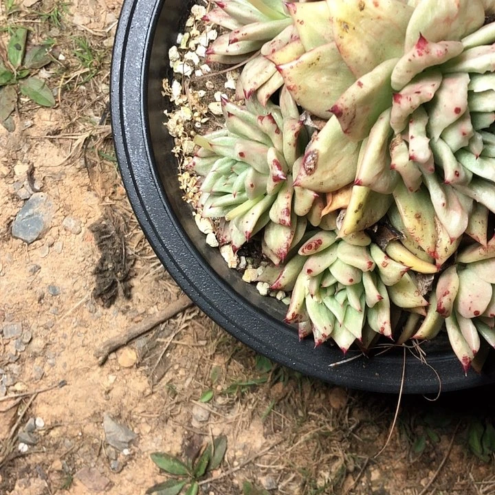 只***你79/////////////