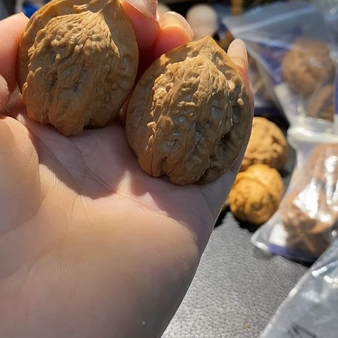 文玩核桃吊坠用****3鸡心34