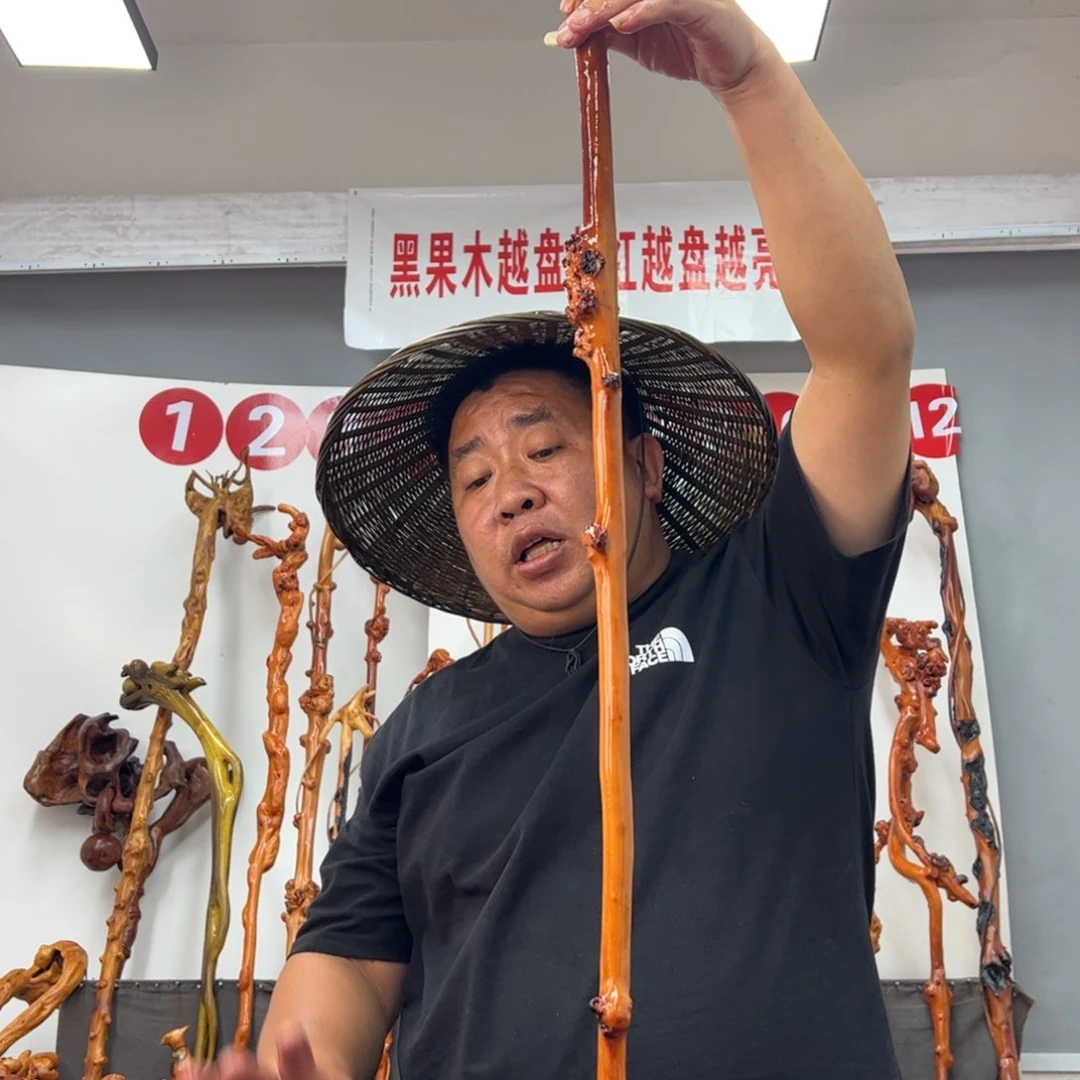 @***月黑果木其他黑果木855