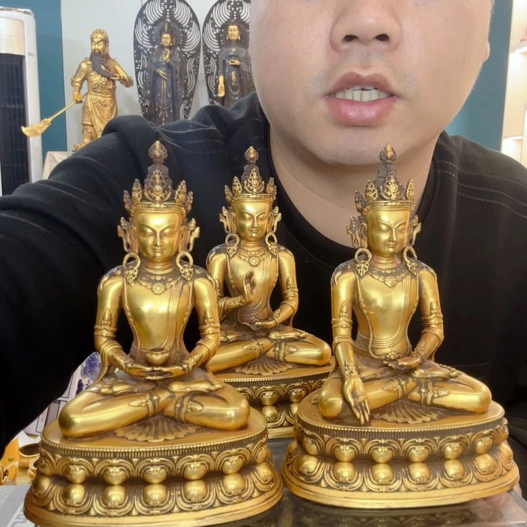 宸*呃呃呃呃呃呃呃呃呃呃呃