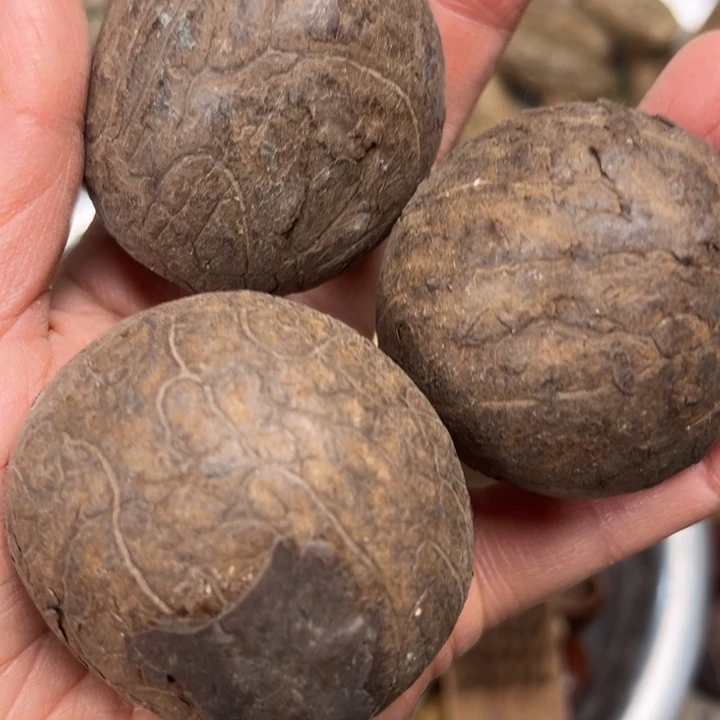 千眼菩提吊坠象牙果，101 号。