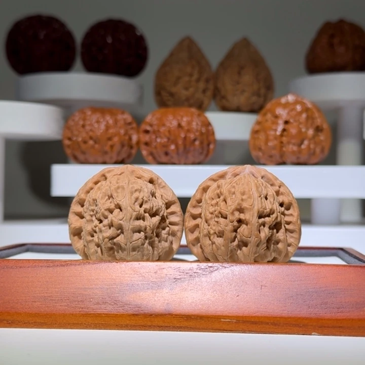 41全品白狮子球白精品