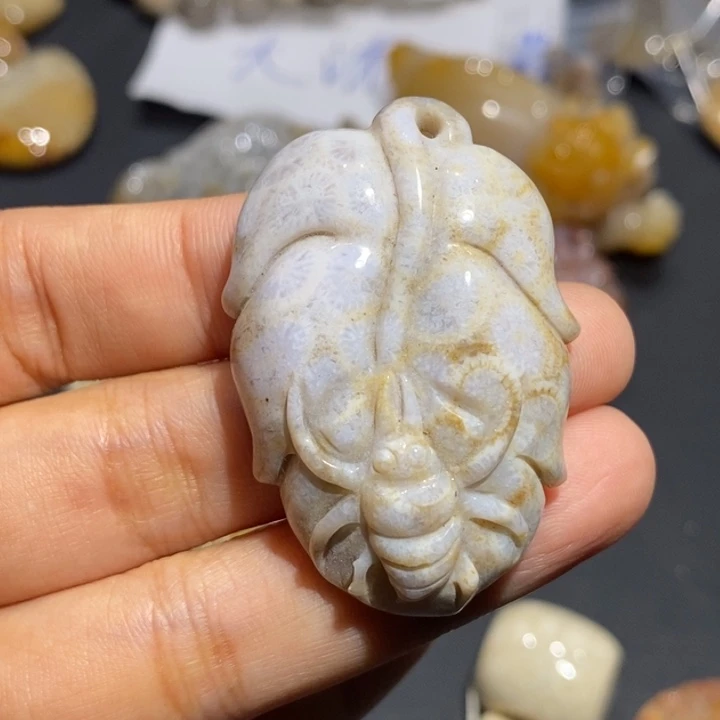 【闪购商品】未镶嵌珊瑚玉硅化玉