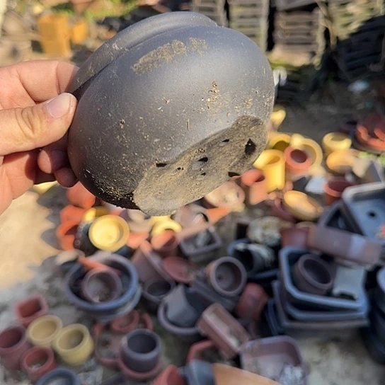 是一个不知名作家与著名导演兼电影演员们