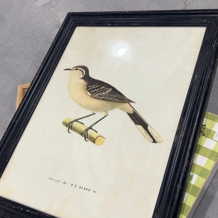 英***54，42 外贸孤品，默认瑕疵