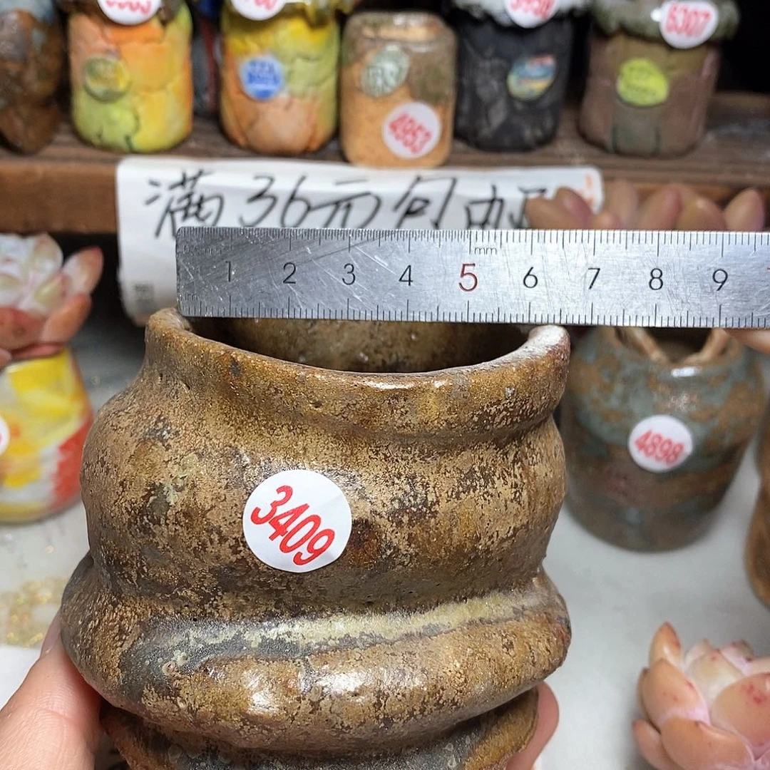 红陶拍5送一个小