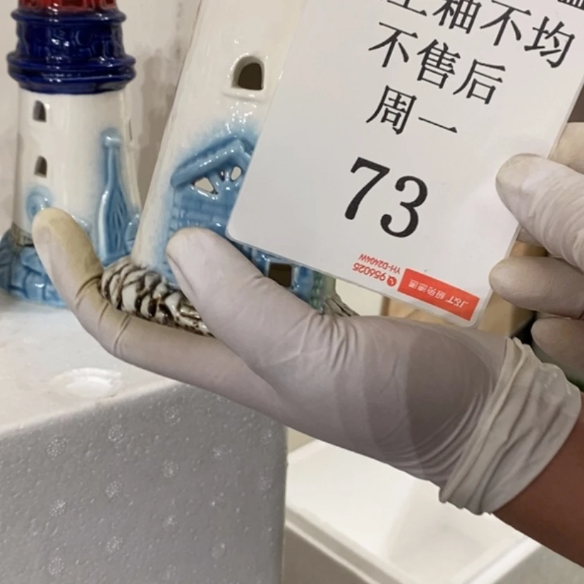 【闪购商品】摆件钱**量陶瓷摆件瑕疵特卖