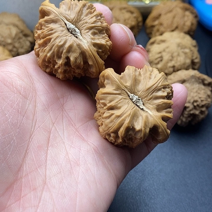 吊坠龙脊菩提白师子44