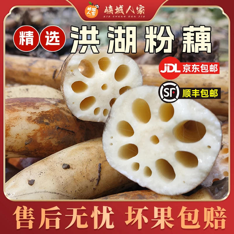 【峡城人家】湖北洪湖粉藕3/5斤(约3-8节) 预售5天