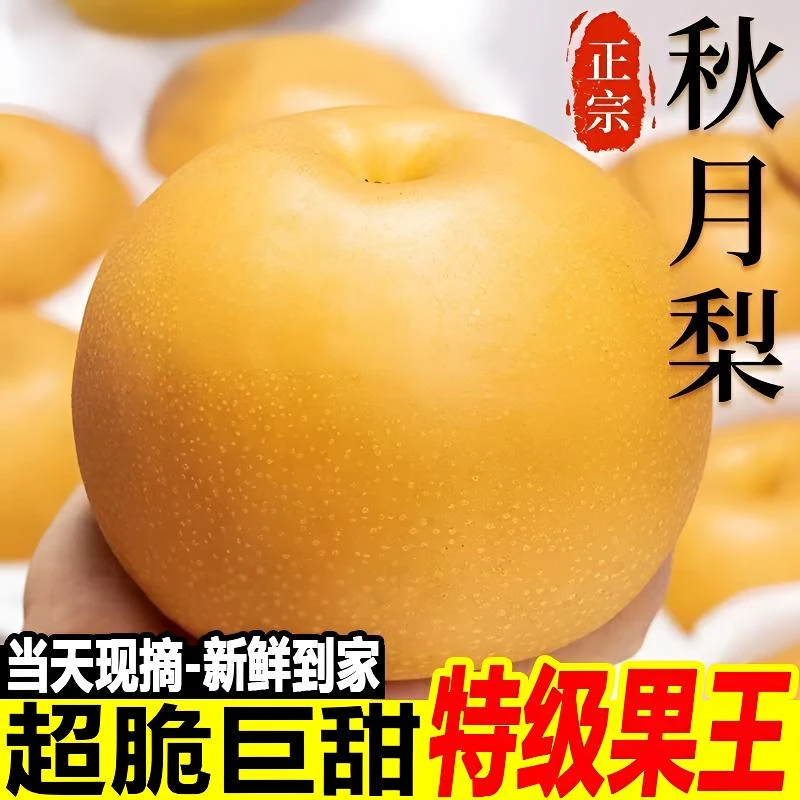 【真秋月梨虚假白送】新鲜水果脆甜多汁皮薄肉厚应季水果农场现摘