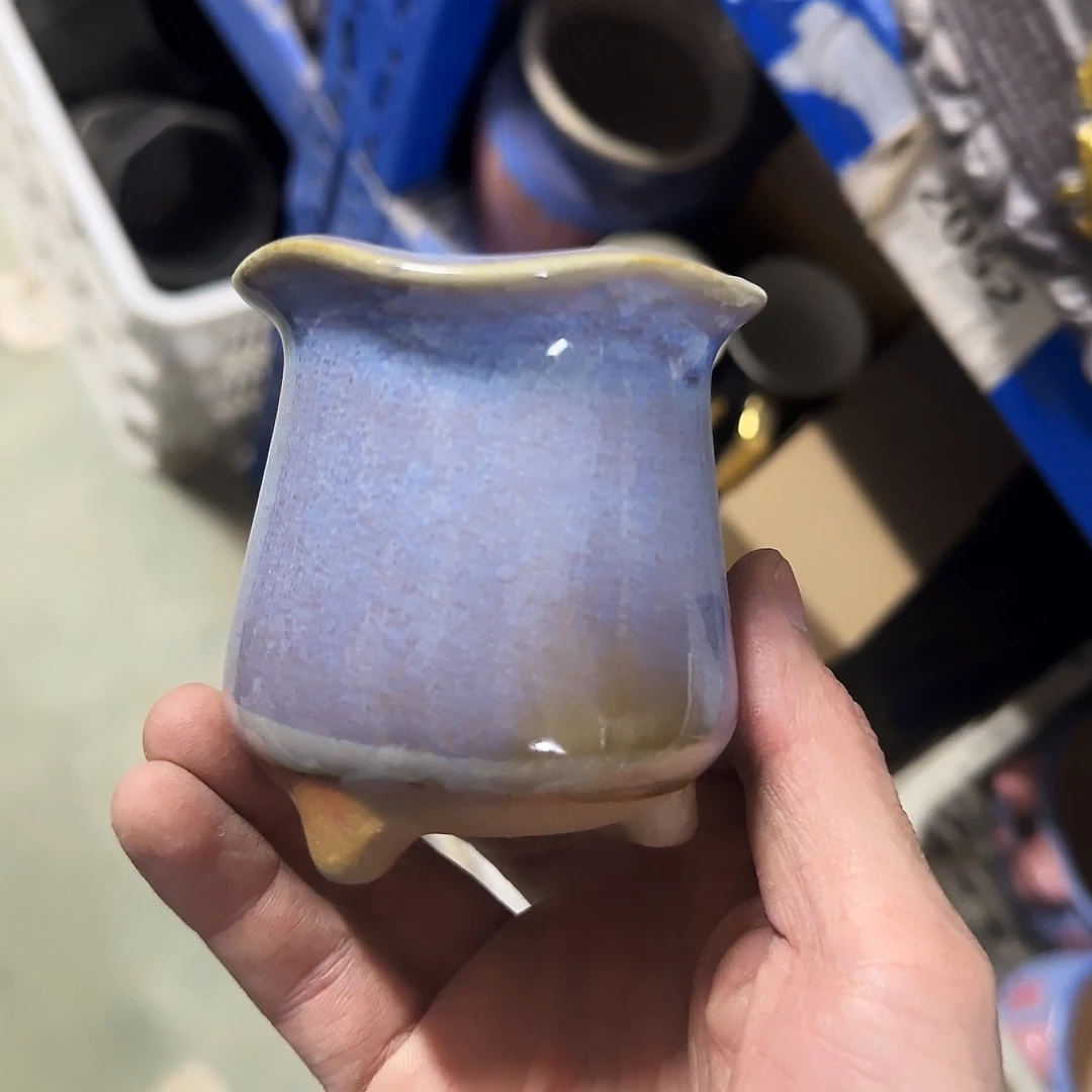 福利局绿植多肉盆［凑9元包邮24小时发］2076