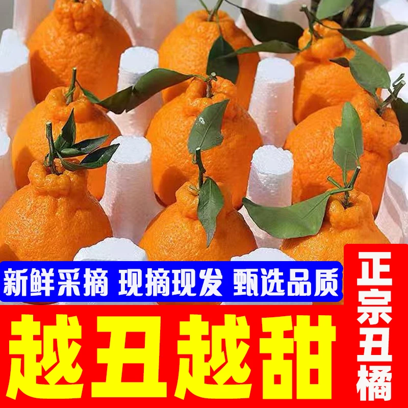 【头茬自然熟】正宗四川不知火丑橘新鲜水果耙丑八怪耙耙柑粑粑桔子