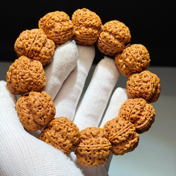 Q3-24新品龙爪梅花大金刚五瓣粗筋双龙文玩大金刚菩提手串