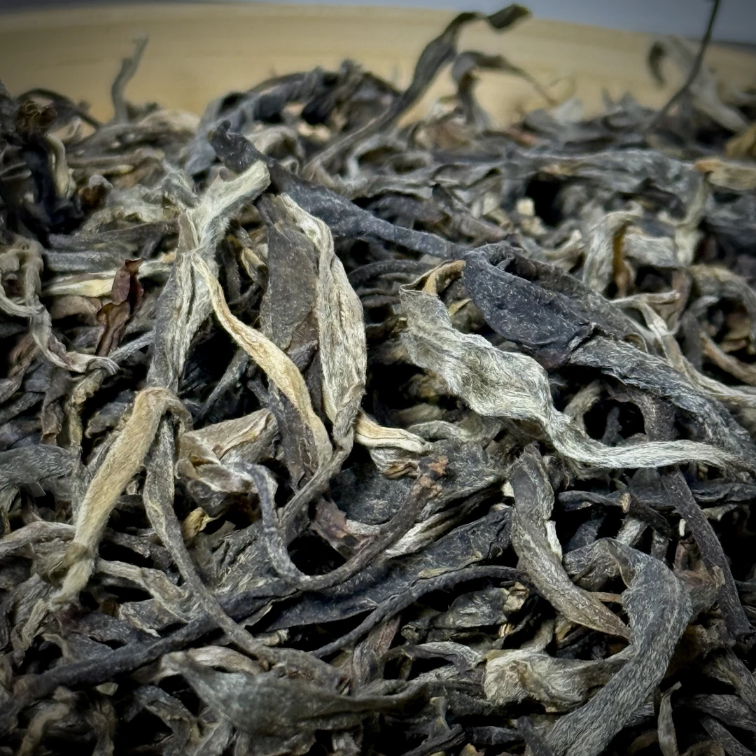 【2023年 大平掌】景迈山大平掌古树纯料 普洱茶生茶100g/罐