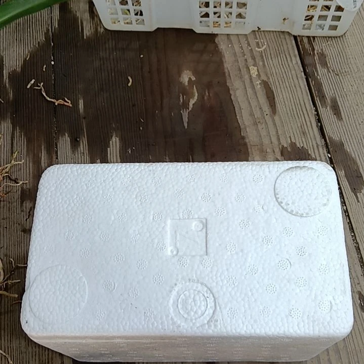 无花朵保温拍这里，5度以下的地方拍
