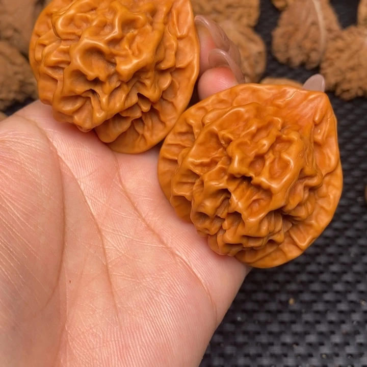 秦岭野生22222222232