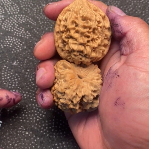 文玩核桃把件官帽3.3