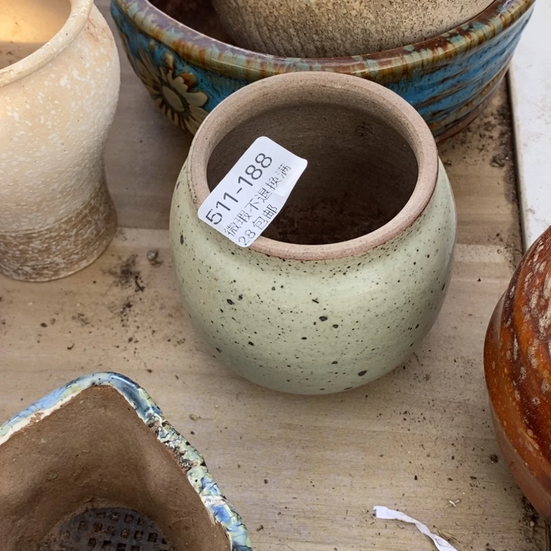 吉*188号多肉盆一个呀