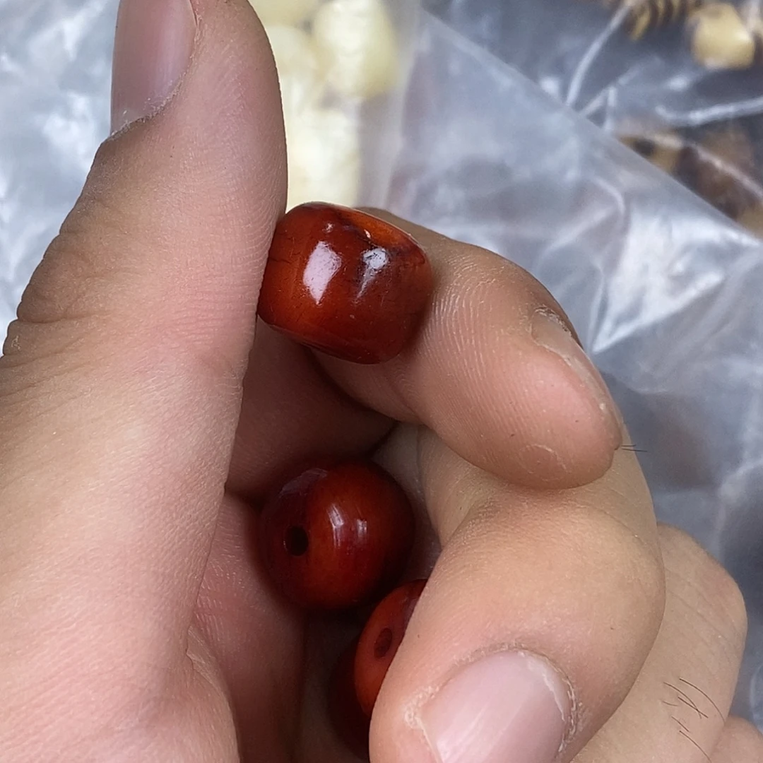 驼骨其他1.4尺寸,22
