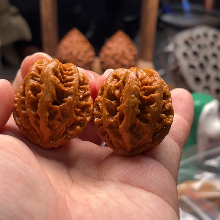 文玩核桃把件楸大胖5