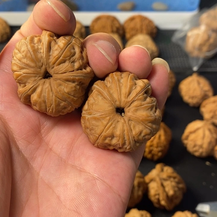 白***天把件桃核5688543578