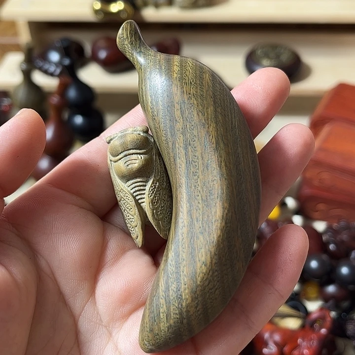 维腊木（绿檀）x****儿