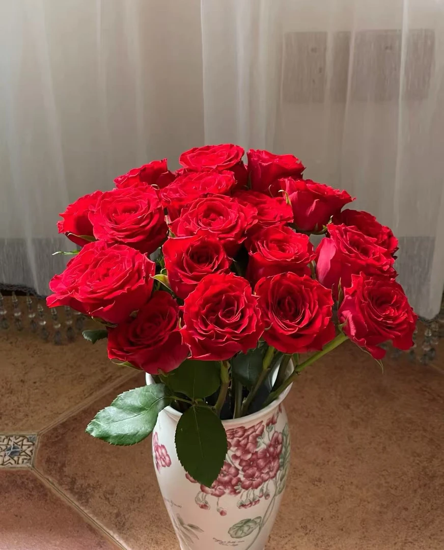 【珍爱红玫瑰】云南鲜花基地直发家用鲜花 任意拍三单送花瓶