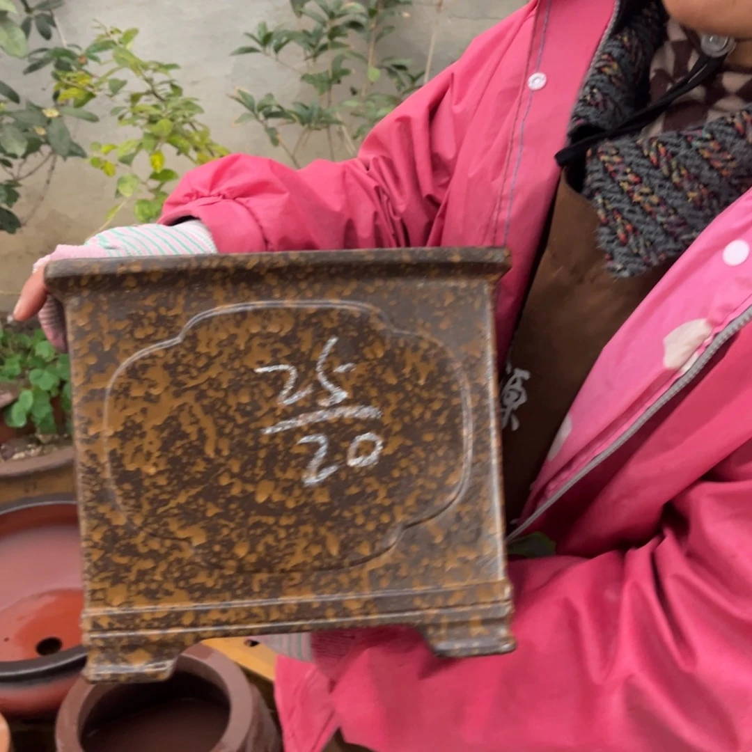 紫砂花盆盆景艺术