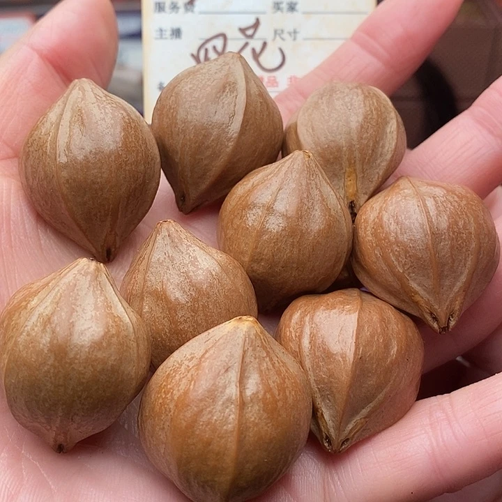 手串/手链橄榄核z*